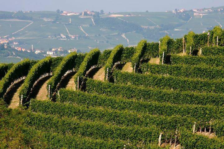 Agriturismo Cascina Rabalot Diano dʼAlba Zewnętrze zdjęcie