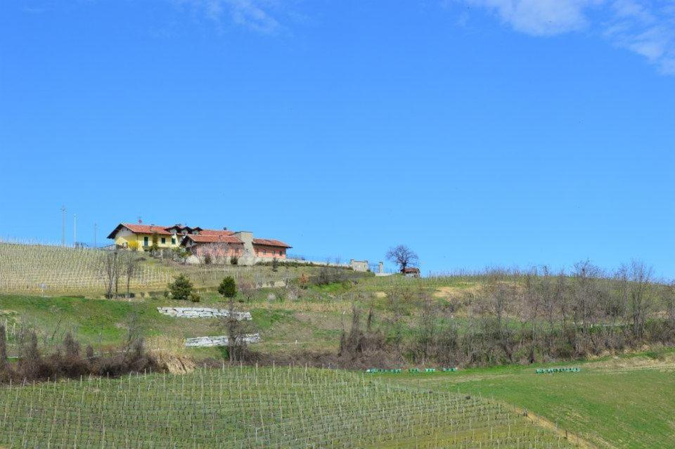 Agriturismo Cascina Rabalot Diano dʼAlba Zewnętrze zdjęcie