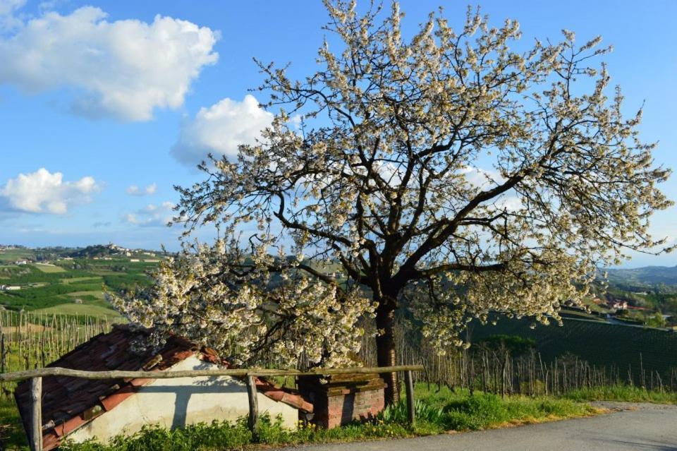 Agriturismo Cascina Rabalot Diano dʼAlba Zewnętrze zdjęcie
