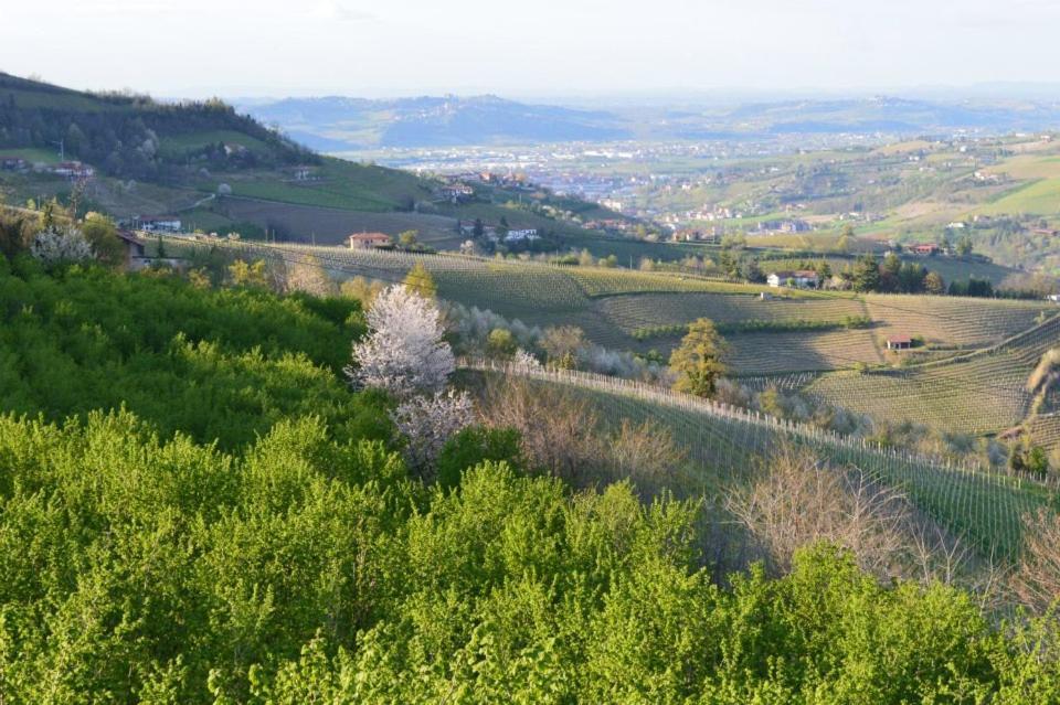 Agriturismo Cascina Rabalot Diano dʼAlba Zewnętrze zdjęcie